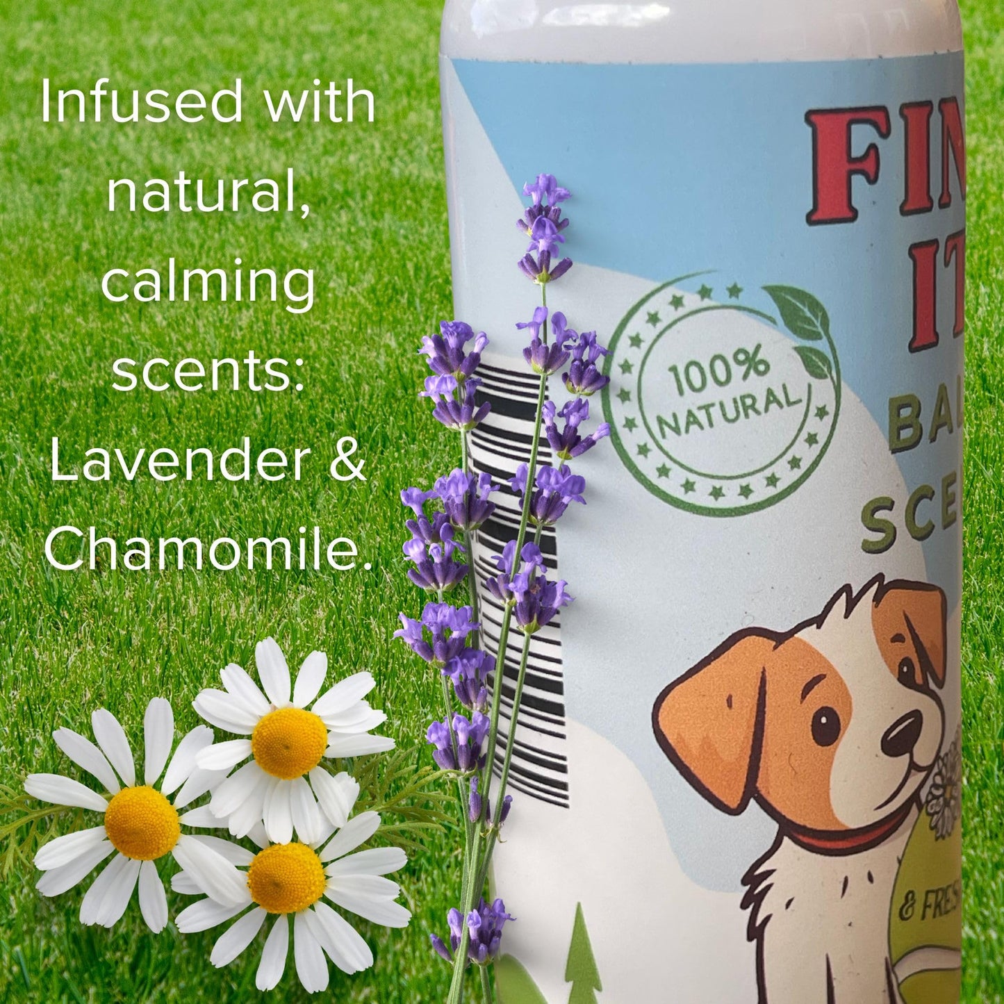 The Delighted Dragon FIND IT - Ball Scent & Freshener