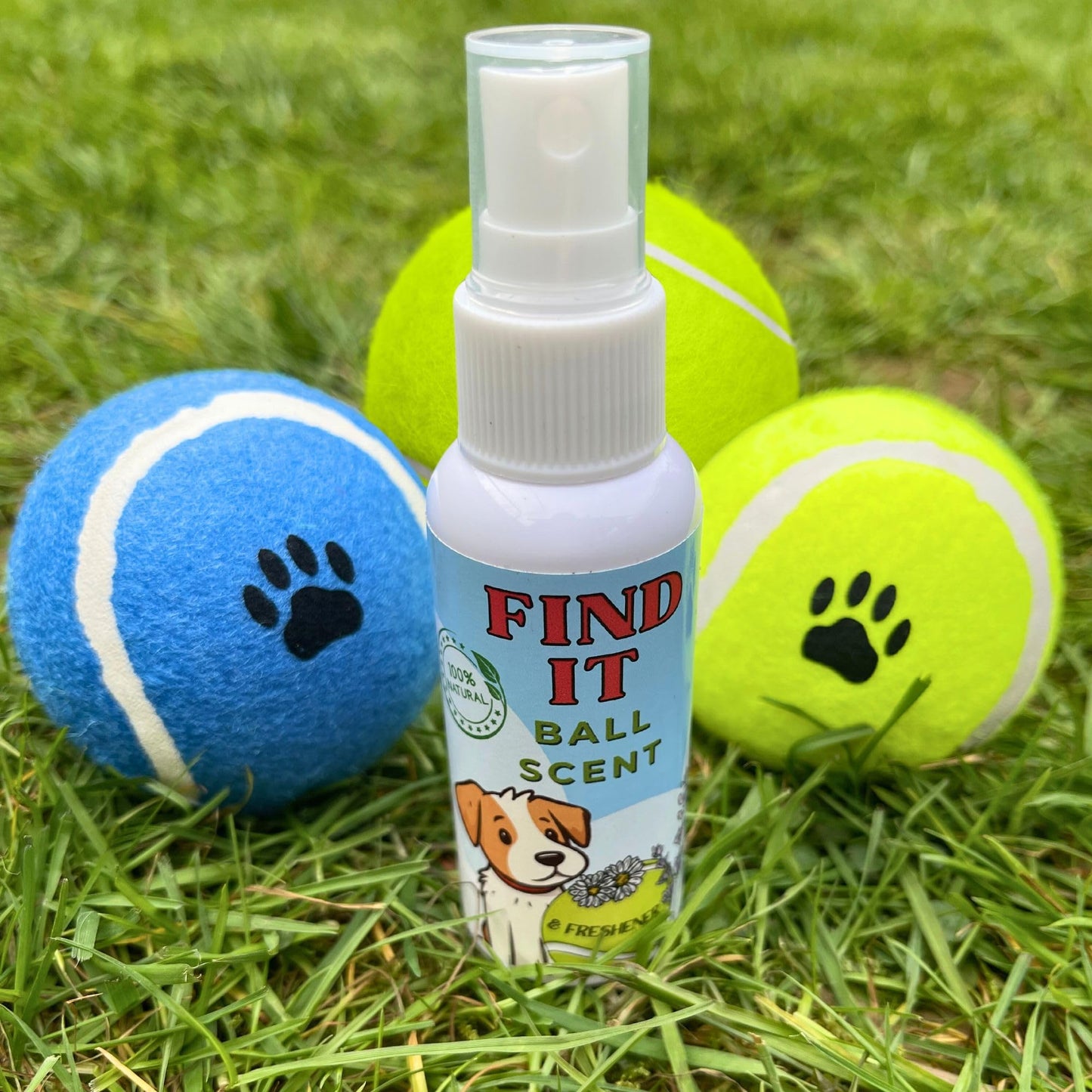 The Delighted Dragon FIND IT - Ball Scent & Freshener