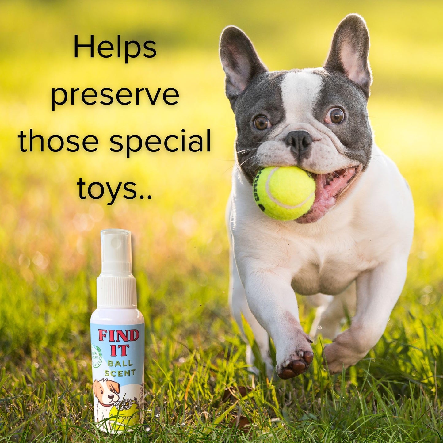 The Delighted Dragon FIND IT - Ball Scent & Freshener
