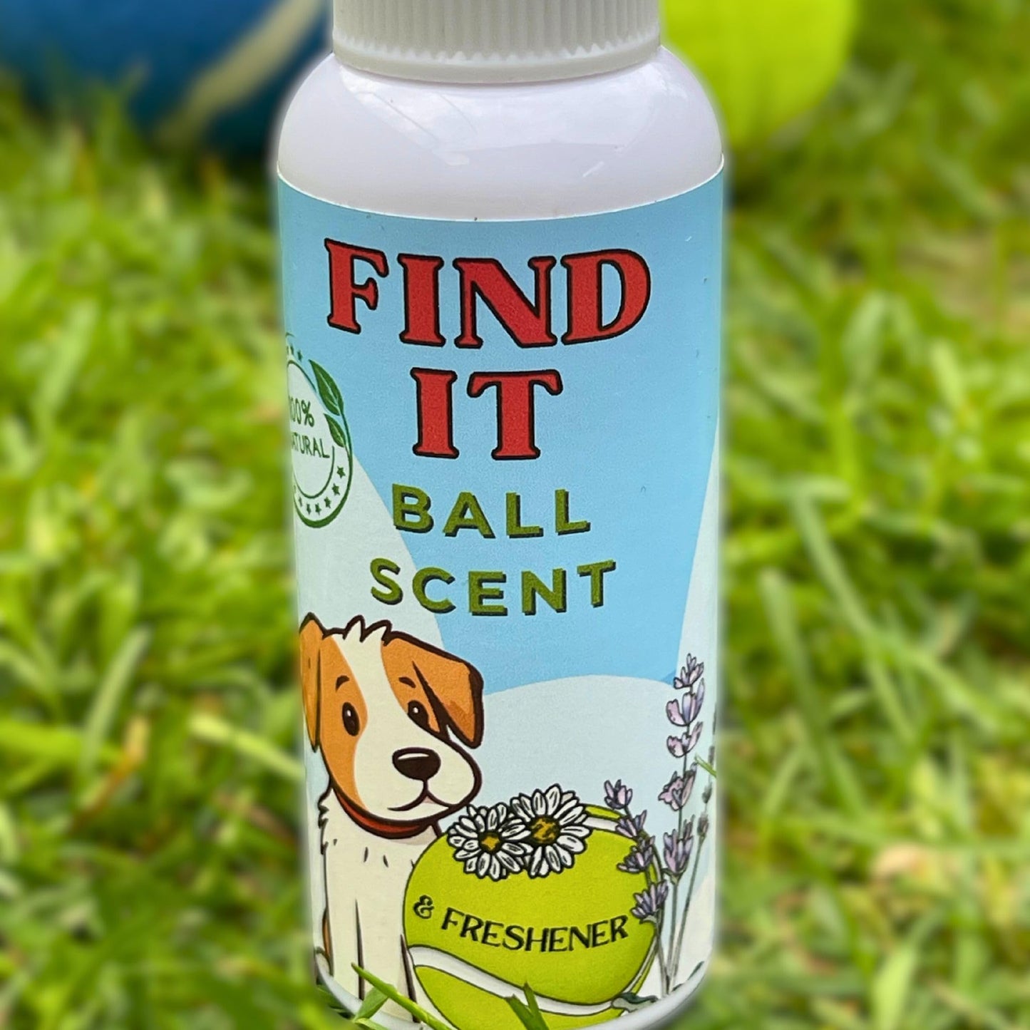 The Delighted Dragon FIND IT - Ball Scent & Freshener